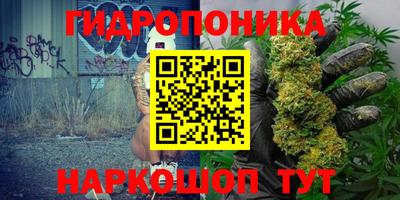 прущая мука Ачхой-Мартан
