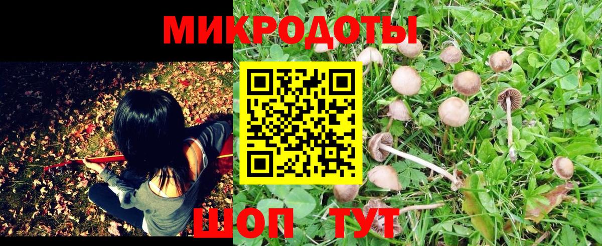 Артём  Псилоцибиновые грибы Psilocybine cubensis  Вход с VPN  Галлюциногенные грибы GOLDEN TEACHER 
